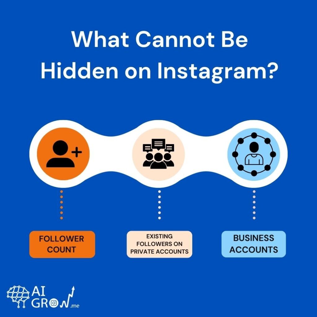 What Cannot Be Hidden on Instagram?