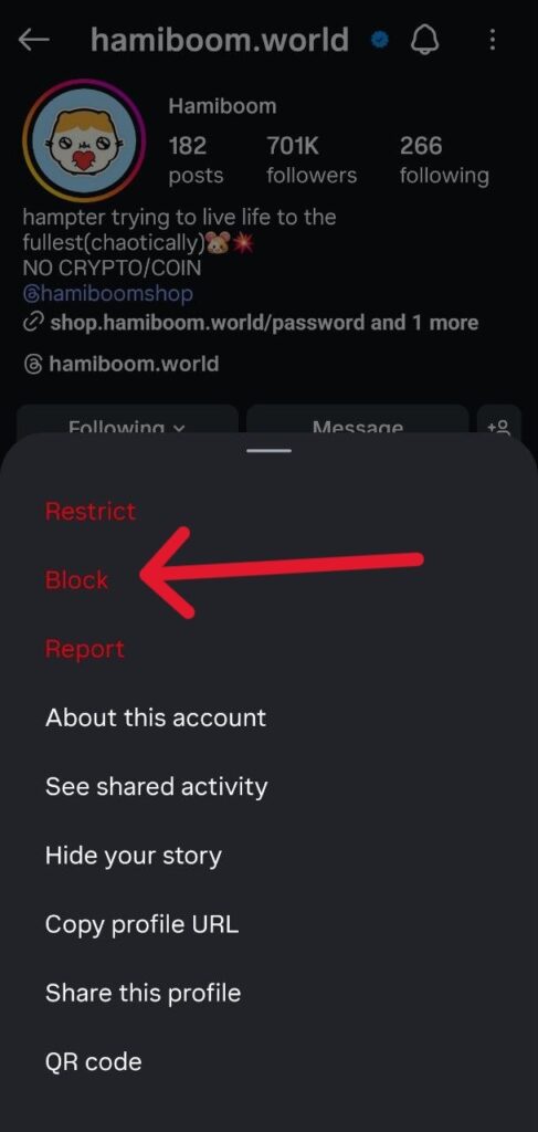 Block button on Instagram